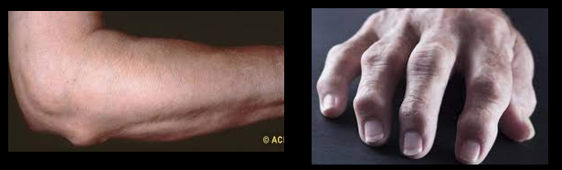 7c7cf9f88c757624421d0c12376041e7.png